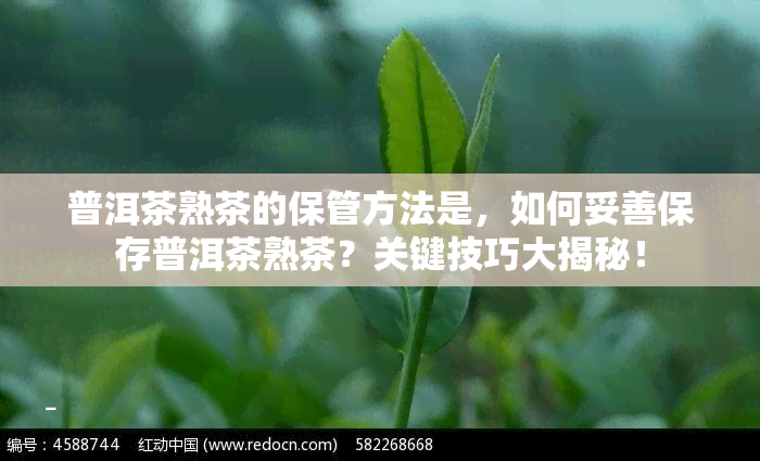 普洱茶熟茶的保管方法是，如何妥善保存普洱茶熟茶？关键技巧大揭秘！