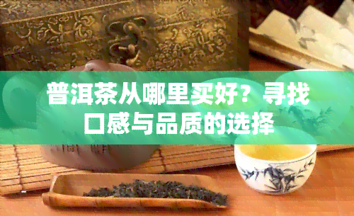 普洱茶从哪里买好？寻找口感与品质的选择