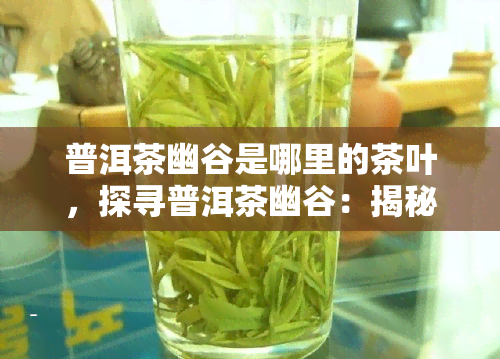 普洱茶幽谷是哪里的茶叶，探寻普洱茶幽谷：揭秘其独特韵味与来源地