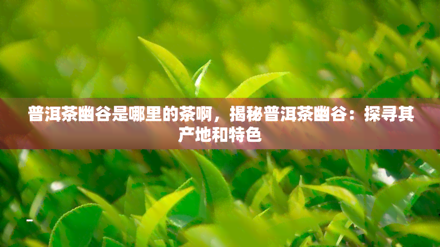 普洱茶幽谷是哪里的茶啊，揭秘普洱茶幽谷：探寻其产地和特色