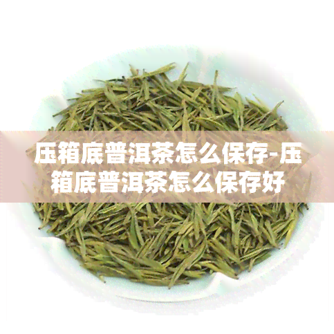 压箱底普洱茶怎么保存-压箱底普洱茶怎么保存好