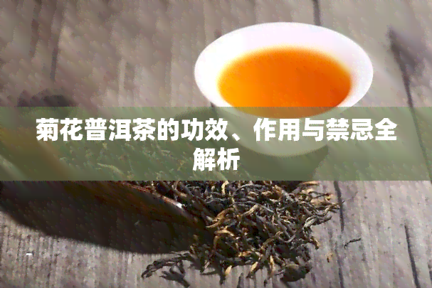 菊花普洱茶的功效、作用与禁忌全解析