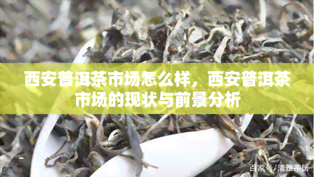 西安普洱茶市场怎么样，西安普洱茶市场的现状与前景分析