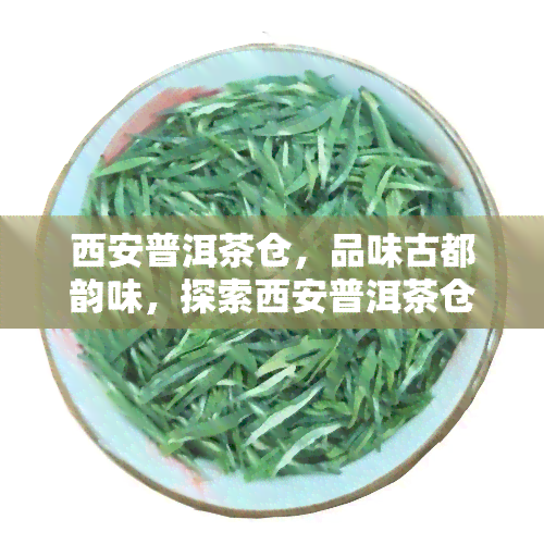 西安普洱茶仓，品味古都韵味，探索西安普洱茶仓的魅力