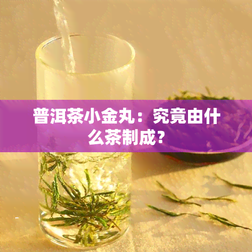 普洱茶小金丸：究竟由什么茶制成？