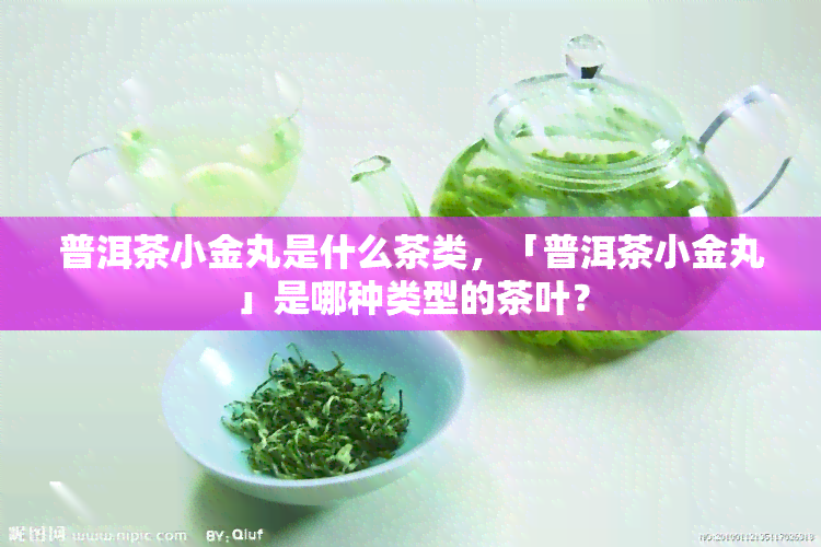 普洱茶小金丸是什么茶类，「普洱茶小金丸」是哪种类型的茶叶？