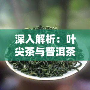 深入解析：叶尖茶与普洱茶的区别是什么？