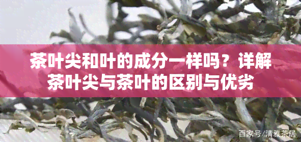 茶叶尖和叶的成分一样吗？详解茶叶尖与茶叶的区别与优劣