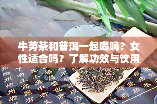 牛蒡茶和普洱一起喝吗？女性适合吗？了解功效与饮用方法