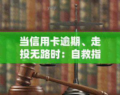 当信用卡逾期、走投无路时：自救指南