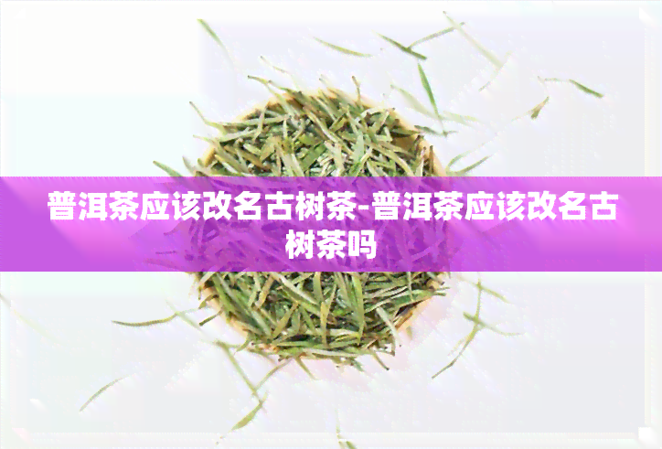 普洱茶应该改名古树茶-普洱茶应该改名古树茶吗