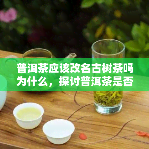 普洱茶应该改名古树茶吗为什么，探讨普洱茶是否应更名为古树茶：原因解析