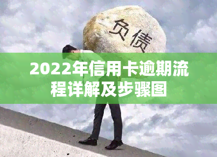 2022年信用卡逾期流程详解及步骤图