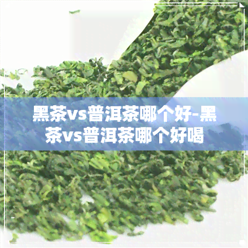 黑茶vs普洱茶哪个好-黑茶vs普洱茶哪个好喝