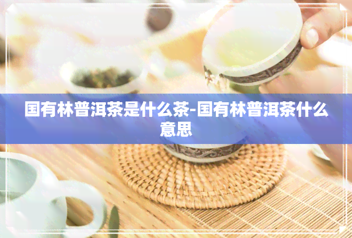 国有林普洱茶是什么茶-国有林普洱茶什么意思