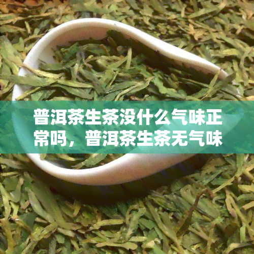 普洱茶生茶没什么气味正常吗，普洱茶生茶无气味是否正常？