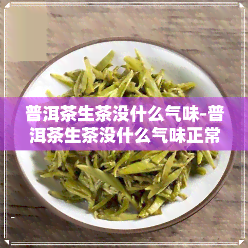 普洱茶生茶没什么气味-普洱茶生茶没什么气味正常吗