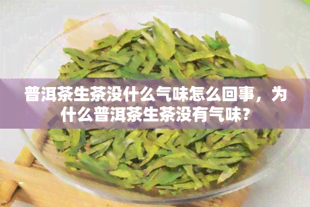 普洱茶生茶没什么气味怎么回事，为什么普洱茶生茶没有气味？