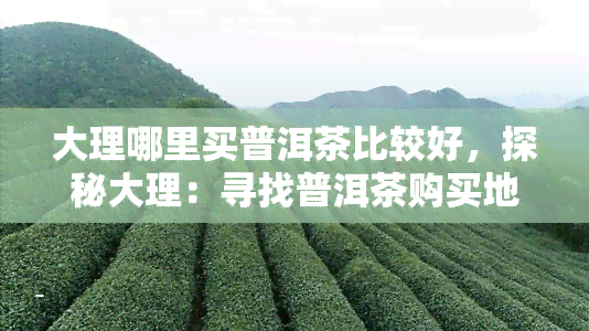 大理哪里买普洱茶比较好，探秘大理：寻找普洱茶购买地点