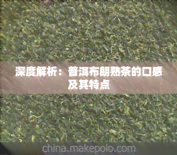 深度解析：普洱布朗熟茶的口感及其特点