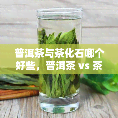 普洱茶与茶化石哪个好些，普洱茶 vs 茶化石：哪个更好？