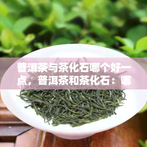 普洱茶与茶化石哪个好一点，普洱茶和茶化石：哪种更好？