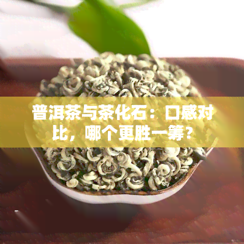 普洱茶与茶化石：口感对比，哪个更胜一筹？