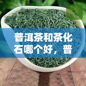 普洱茶和茶化石哪个好，普洱茶与茶化石：哪种茶叶更好？