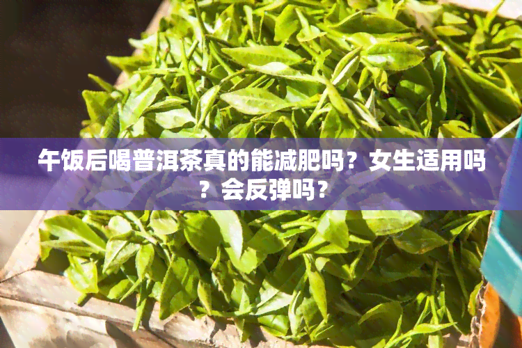 午饭后喝普洱茶真的能减肥吗？女生适用吗？会反弹吗？