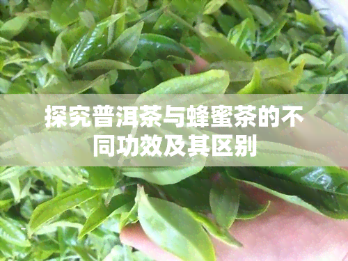 探究普洱茶与蜂蜜茶的不同功效及其区别