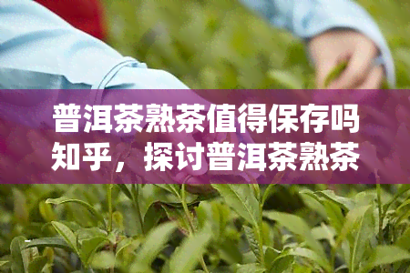 普洱茶熟茶值得保存吗知乎，探讨普洱茶熟茶的保存价值：你是否应该珍藏？——知乎视角