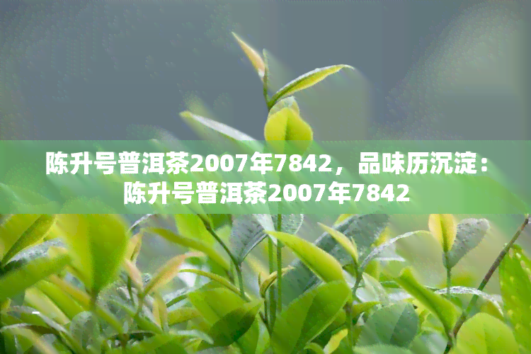 陈升号普洱茶2007年7842，品味历沉淀：陈升号普洱茶2007年7842