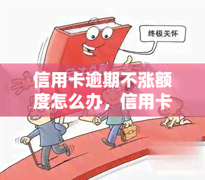 信用卡逾期不涨额度怎么办，信用卡逾期未提额？教你解决方法！