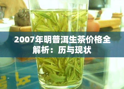 2007年明普洱生茶价格全解析：历与现状