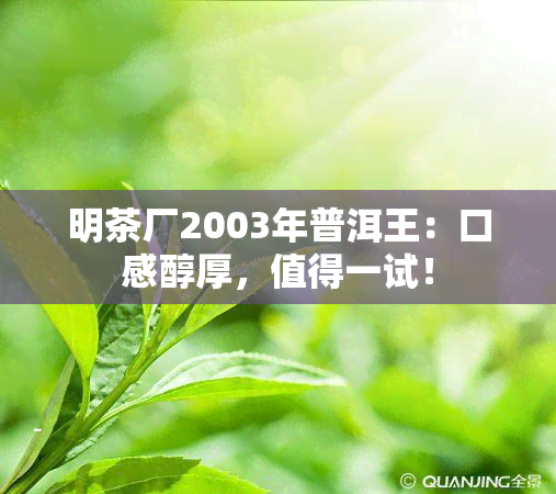 明茶厂2003年普洱王：口感醇厚，值得一试！