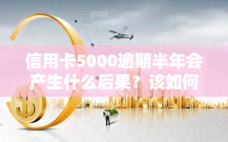 信用卡5000逾期半年会产生什么后果？该如何处理？