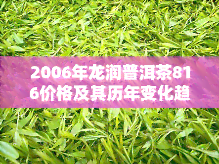 2006年龙润普洱茶816价格及其历年变化趋势