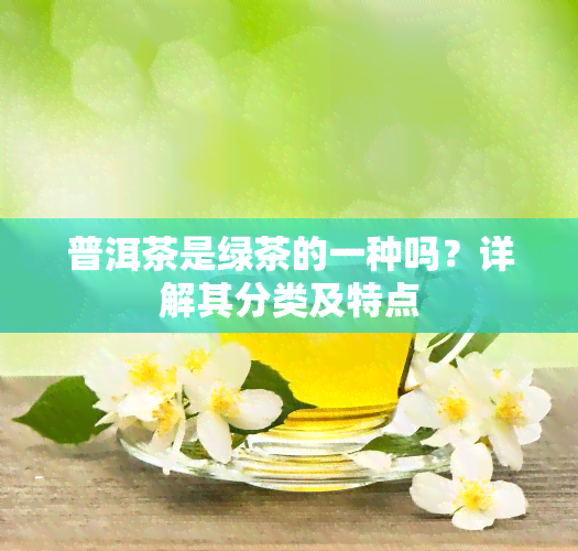 普洱茶是绿茶的一种吗？详解其分类及特点