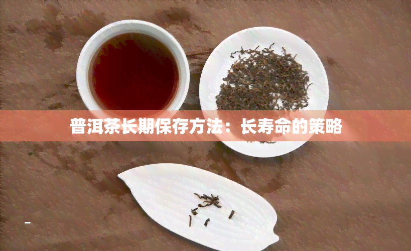 普洱茶长期保存方法：长寿命的策略