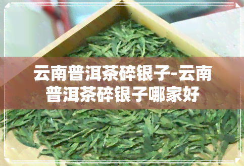 云南普洱茶碎银子-云南普洱茶碎银子哪家好