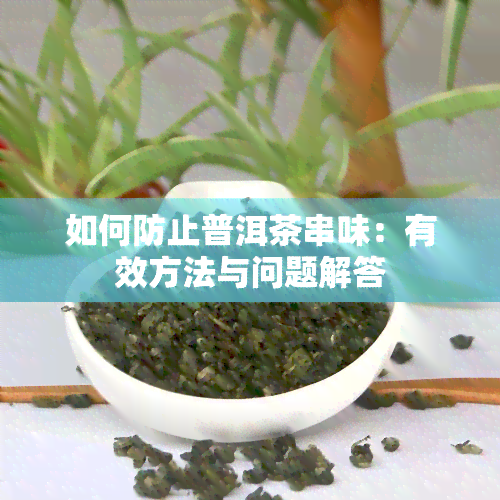 如何防止普洱茶串味：有效方法与问题解答