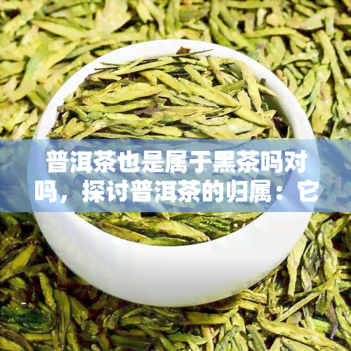 普洱茶也是属于黑茶吗对吗，探讨普洱茶的归属：它是否属于黑茶？