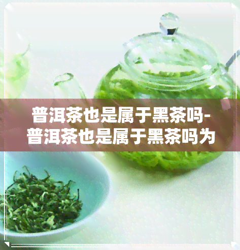 普洱茶也是属于黑茶吗-普洱茶也是属于黑茶吗为什么