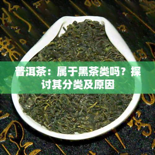 普洱茶：属于黑茶类吗？探讨其分类及原因