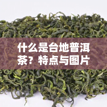 什么是台地普洱茶？特点与图片全解析