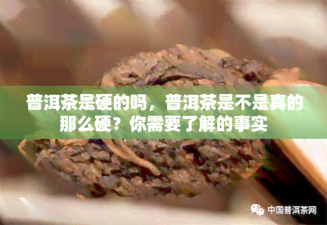 普洱茶是硬的吗，普洱茶是不是真的那么硬？你需要了解的事实