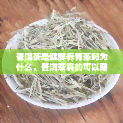 普洱茶是健脾养胃茶吗为什么，普洱茶真的可以健脾养胃吗？原因解析