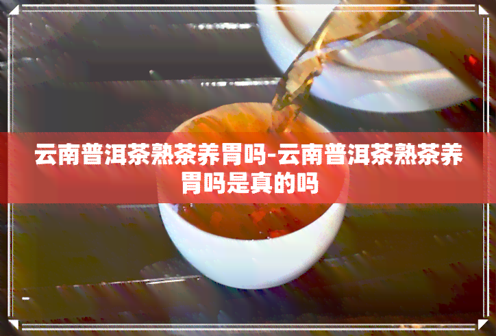 云南普洱茶熟茶养胃吗-云南普洱茶熟茶养胃吗是真的吗