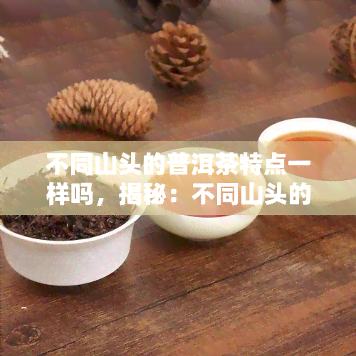 不同山头的普洱茶特点一样吗，揭秘：不同山头的普洱茶有何独特特点？