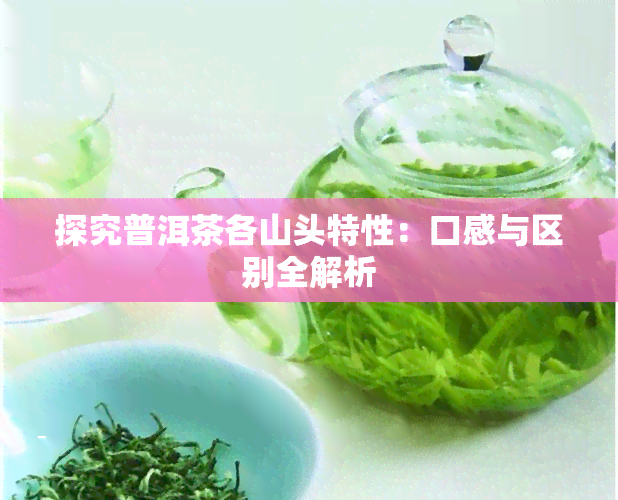 探究普洱茶各山头特性：口感与区别全解析